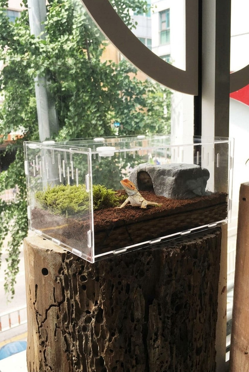 Reptile breeding box