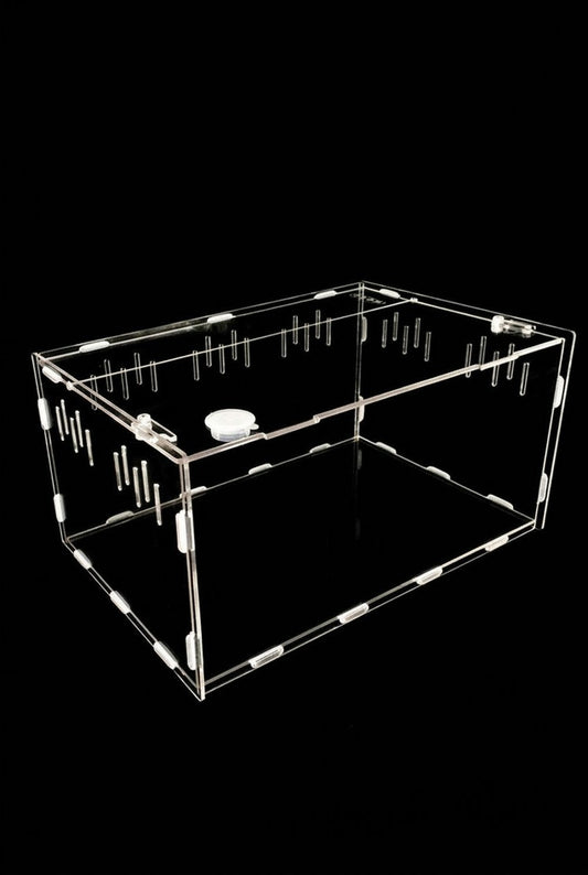 Reptile breeding box