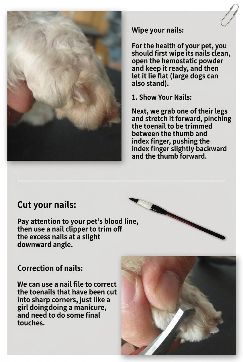 Grooming Set