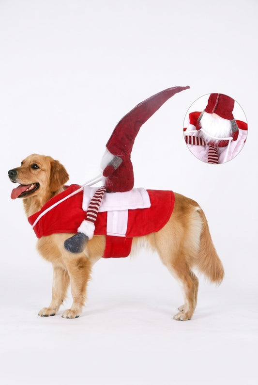 Christmas Costume