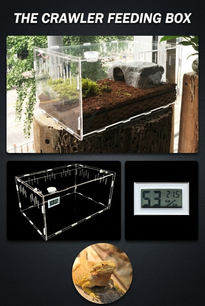 Reptile breeding box