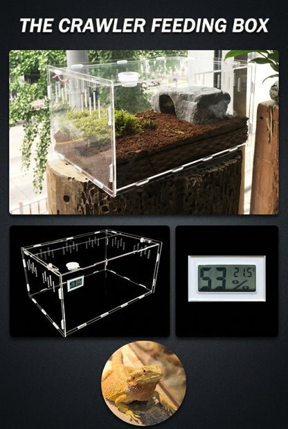 Reptile breeding box