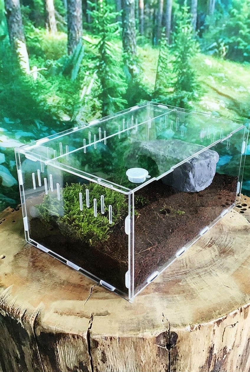 Reptile breeding box