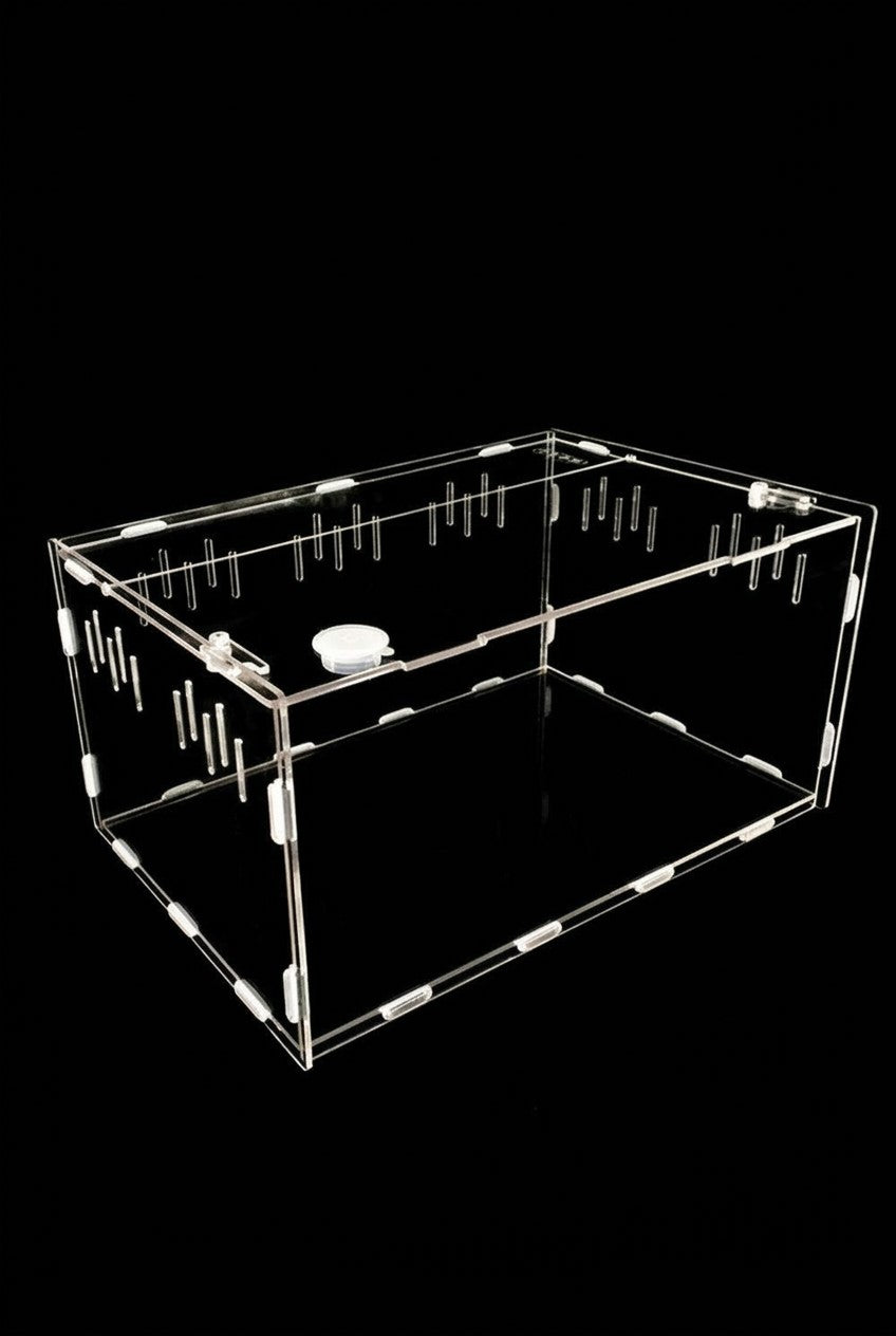 Reptile breeding box