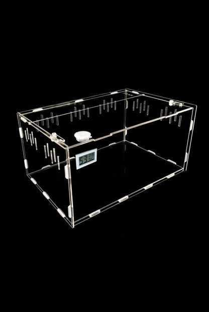 Reptile breeding box