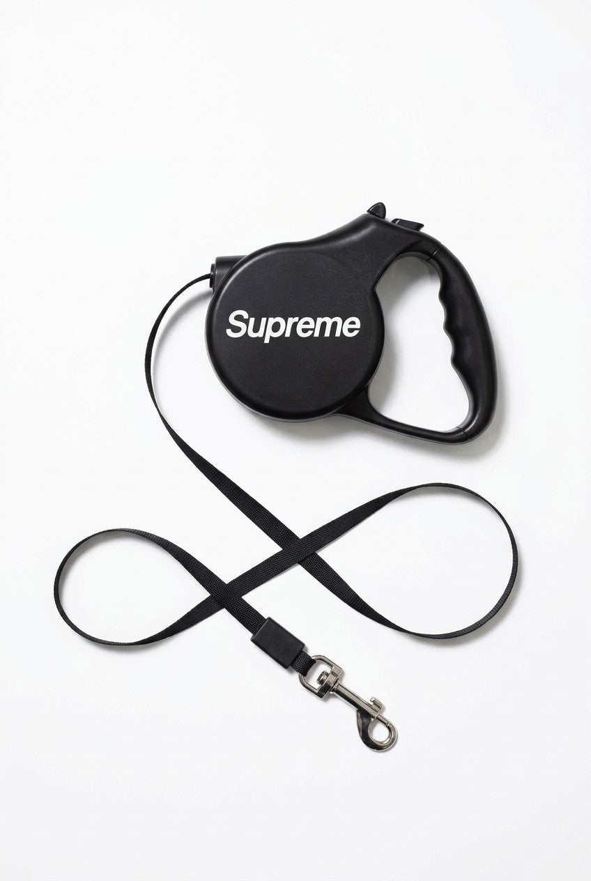 Retractable Leash