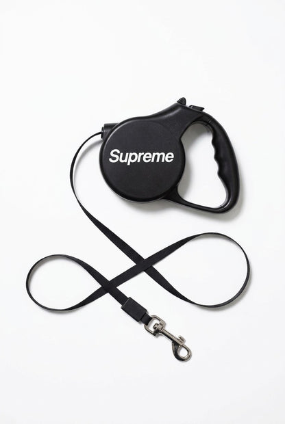 Retractable Leash