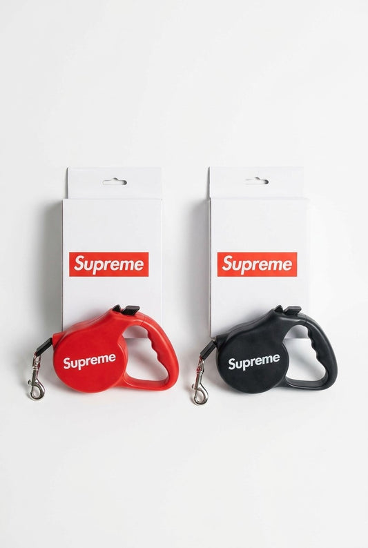 Retractable Leash