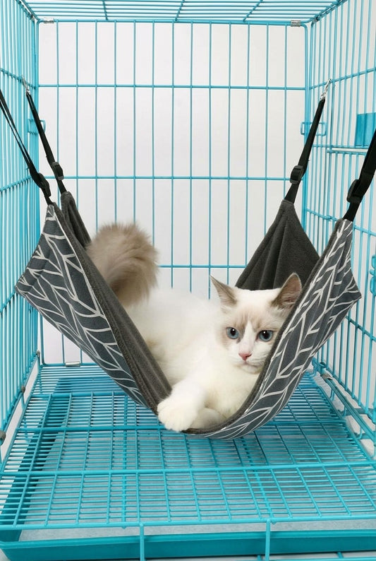 Hammock